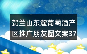 賀蘭山東麓葡萄酒產(chǎn)區(qū)推廣朋友圈文案37句