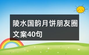 陵水國(guó)韻月餅朋友圈文案40句