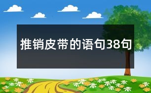 推銷(xiāo)皮帶的語(yǔ)句38句