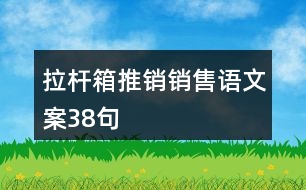 拉桿箱推銷銷售語文案38句