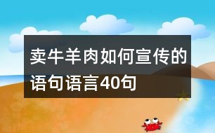 賣牛羊肉如何宣傳的語句語言40句