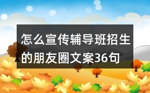 怎么宣傳輔導(dǎo)班招生的朋友圈文案36句