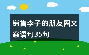 銷售李子的朋友圈文案語(yǔ)句35句