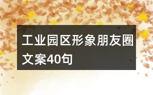 工業(yè)園區(qū)形象朋友圈文案40句