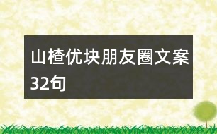 山楂優(yōu)塊朋友圈文案32句