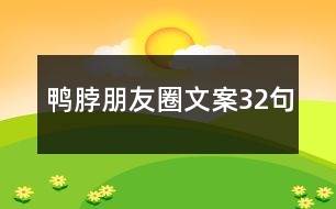 鴨脖朋友圈文案32句