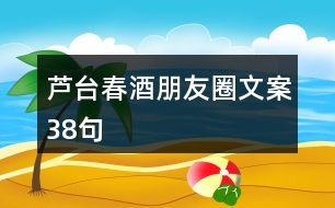 蘆臺春酒朋友圈文案38句