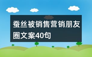 蠶絲被銷售營(yíng)銷朋友圈文案40句