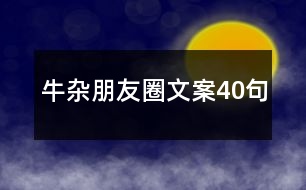 牛雜朋友圈文案40句