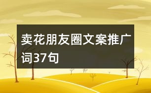 賣花朋友圈文案、推廣詞37句