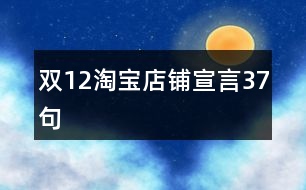 雙12淘寶店鋪宣言37句