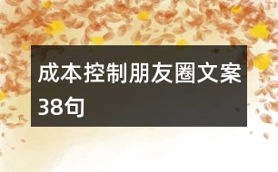 成本控制朋友圈文案38句