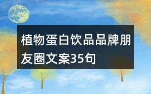 植物蛋白飲品品牌朋友圈文案35句