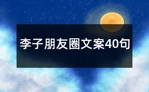 李子朋友圈文案40句