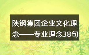 陜鋼集團(tuán)企業(yè)文化理念――專業(yè)理念38句