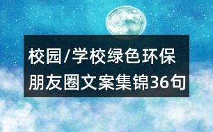 校園/學(xué)校綠色環(huán)保朋友圈文案集錦36句