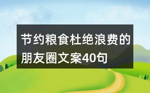 節(jié)約糧食杜絕浪費的朋友圈文案40句