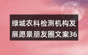 綠城農(nóng)科檢測機(jī)構(gòu)發(fā)展愿景朋友圈文案36句