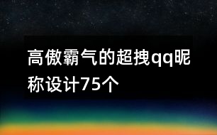 高傲霸氣的超拽qq昵稱設(shè)計75個