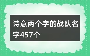 詩意兩個字的戰(zhàn)隊名字457個