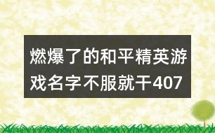 燃爆了的和平精英游戲名字不服就干407個(gè)