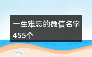 一生難忘的微信名字455個