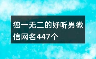 獨一無二的好聽男微信網名447個