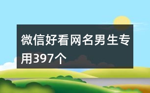 微信好看網名男生專用397個