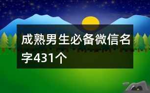 成熟男生必備微信名字431個