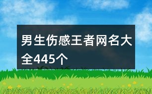 男生傷感王者網名大全445個