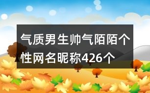 氣質男生帥氣陌陌個性網(wǎng)名昵稱426個