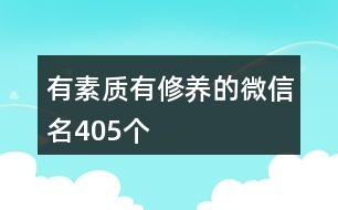 有素質有修養(yǎng)的微信名405個