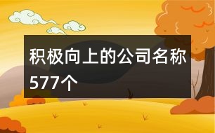 積極向上的公司名稱577個