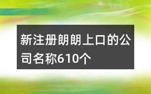 新注冊朗朗上口的公司名稱610個