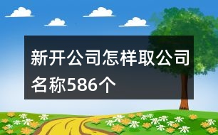 新開公司怎樣取公司名稱586個