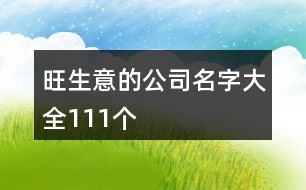 旺生意的公司名字大全111個