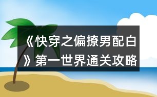 《快穿之偏撩男配白》第一世界通關攻略