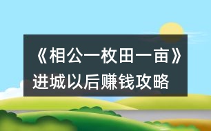 《相公一枚田一畝》進城以后賺錢攻略