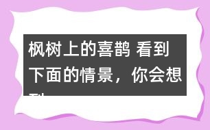 楓樹上的喜鵲 看到下面的情景，你會想到什么?試著寫下來。