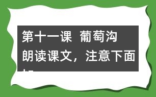 第十一課  葡萄溝  朗讀課文，注意下面加點(diǎn)字的讀音。