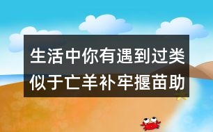 生活中你有遇到過(guò)類(lèi)似于亡羊補(bǔ)牢揠苗助長(zhǎng)的事嗎