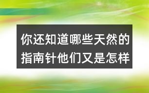 你還知道哪些天然的指南針他們又是怎樣幫助人們辨別方向的向同學介紹一下