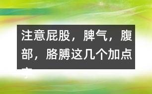 注意“屁股，脾氣，腹部，胳膊”這幾個加點字說說你的發(fā)現(xiàn)