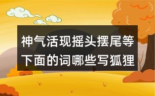 神氣活現(xiàn)搖頭擺尾等下面的詞哪些寫狐貍，哪些寫老虎的