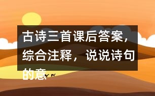 古詩三首課后答案，綜合注釋，說說詩句的意思？