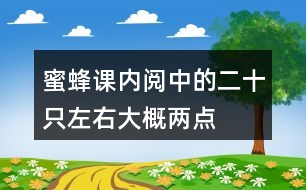 蜜蜂課內(nèi)閱中的二十只左右、大概、兩點(diǎn)四十分等詞中,你體會到了什么?