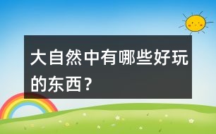 大自然中有哪些好玩的東西？