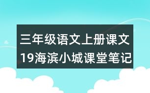 三年級(jí)語(yǔ)文上冊(cè)課文19海濱小城課堂筆記本課知識(shí)點(diǎn)