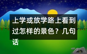 上學(xué)或放學(xué)路上看到過怎樣的景色？幾句話寫下來