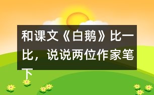 和課文《白鵝》比一比，說(shuō)說(shuō)兩位作家筆下的鵝有什么共同點(diǎn)？